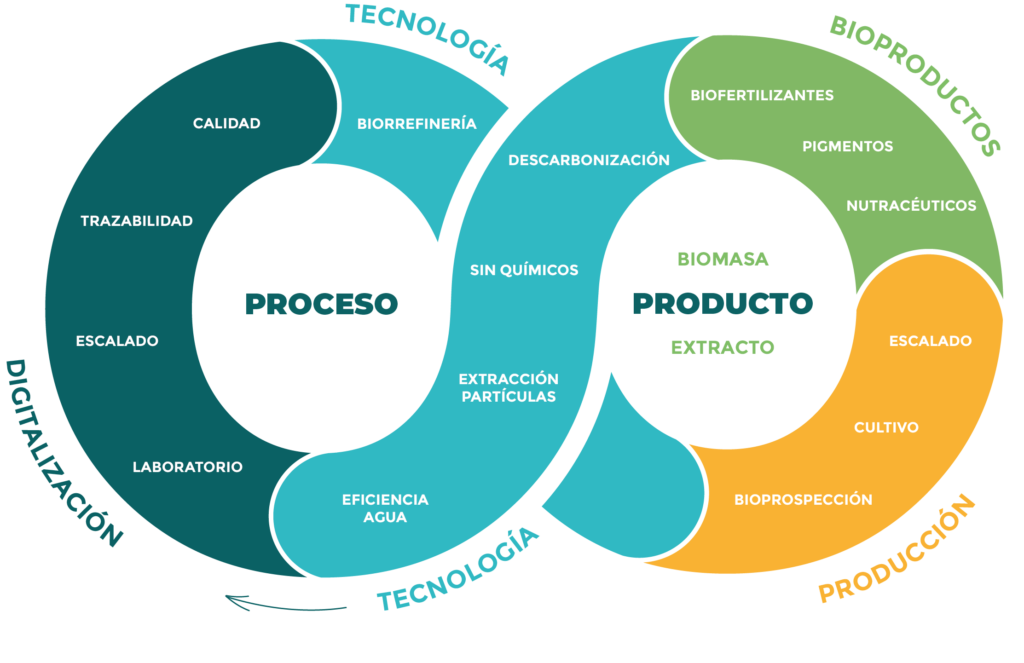 Algaloop proceso-producto infografia